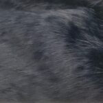 PELLICCIA SINTETICA
